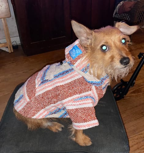 Customer photo review of Free & Easy Return or Exchange Coverage + Package Protection