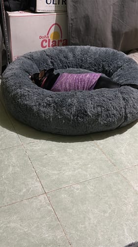 El perro de un cliente con un suéter morado duerme en la Cama Antiestrés gris y afelpada.