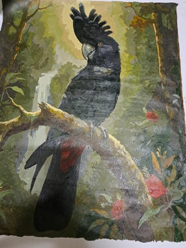 Customer photo review of Black Cockatoo Haven