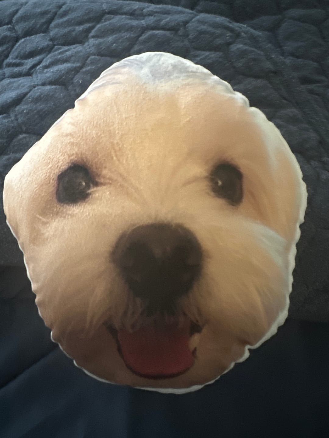 Customer photo review of Custom Pet Face Shaped Pillow from Your Pet Photos, Customized Pet Head Pillows