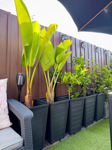 Customer photo review of Taper Square High Planter 37cm