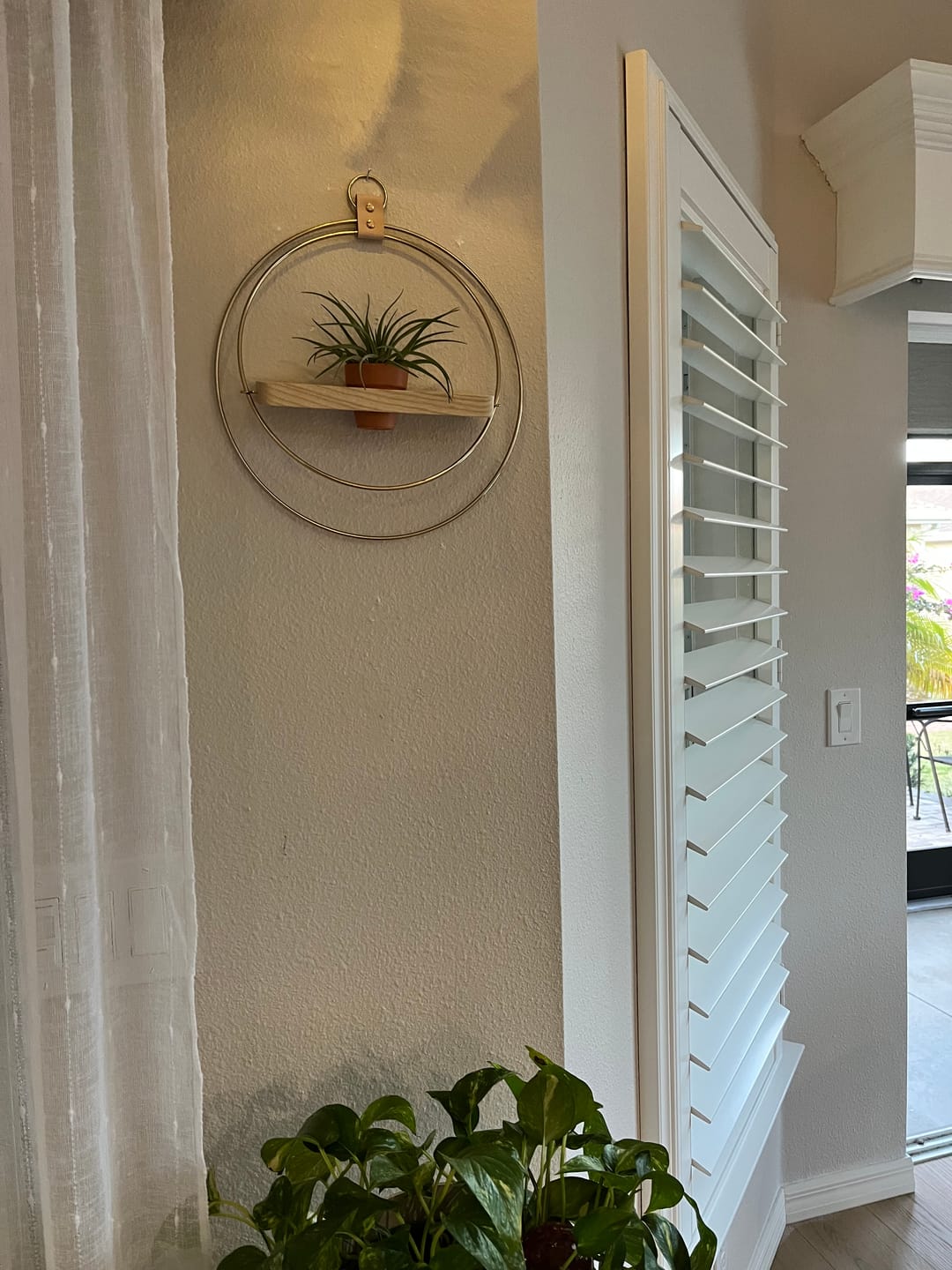 Customer photo review of Air Plant Shelf + Pot