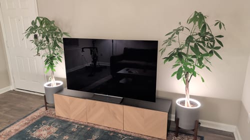 Customer photo review of Aura | Large Round LED Planter