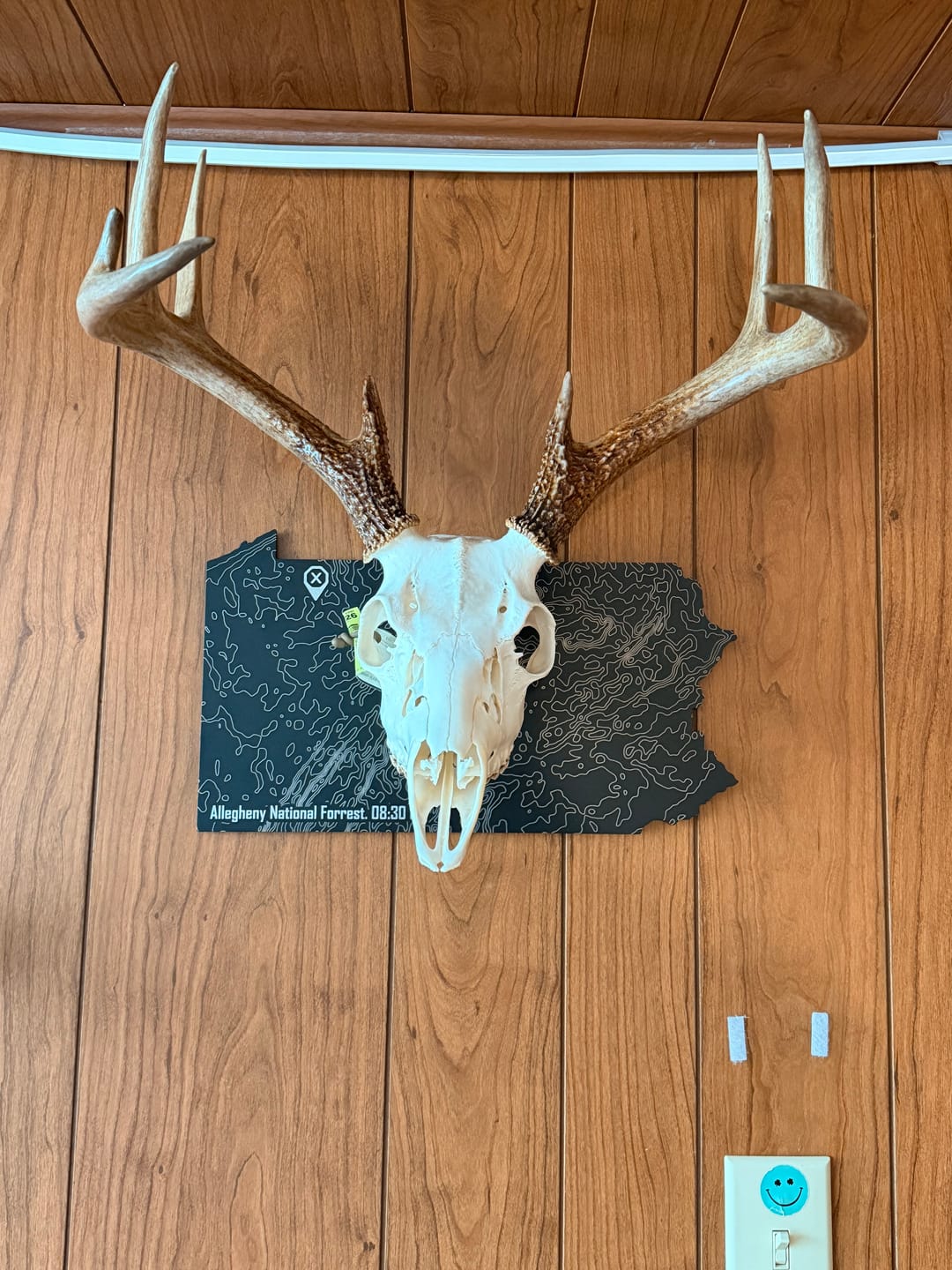 Customer photo review of Medium Game Plaques