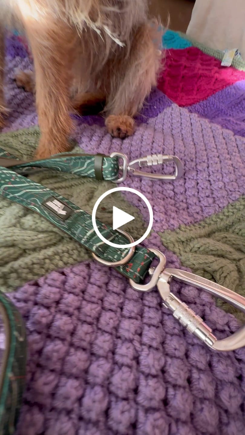 Customer video review of Multi-Way Lead