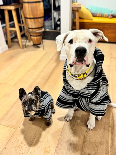 Customer photo review of Free & Easy Return or Exchange Coverage + Package Protection