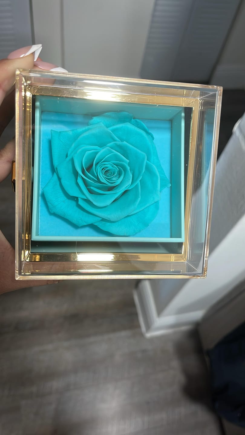 Customer photo review of Rotating Eternal Rose Gift Box