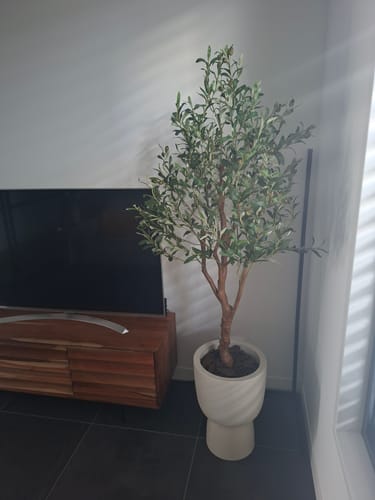 Customer photo review of Kunst Olijfboom 150cm