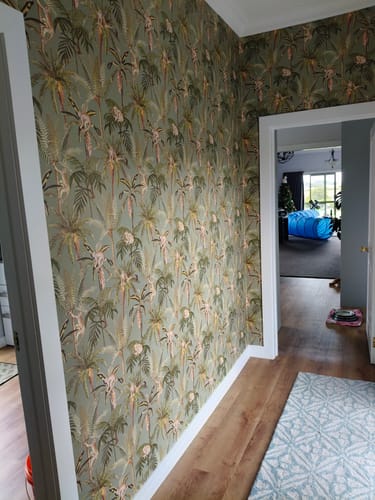Customer photo review of Ateles Spider Monkey Wallpaper - Sage