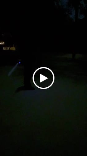 Customer video review of The Assassin