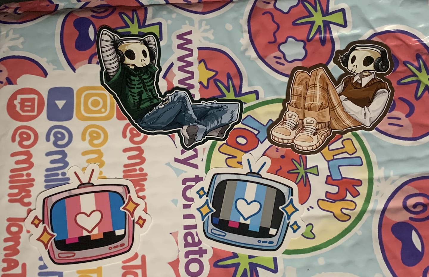 Customer photo review of Aesthetic Skeleton Cade Stickers