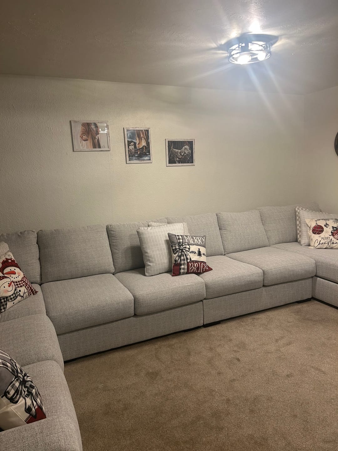 Customer photo review of NEW COLOR EDIT - My Sheep Listen to My Voice