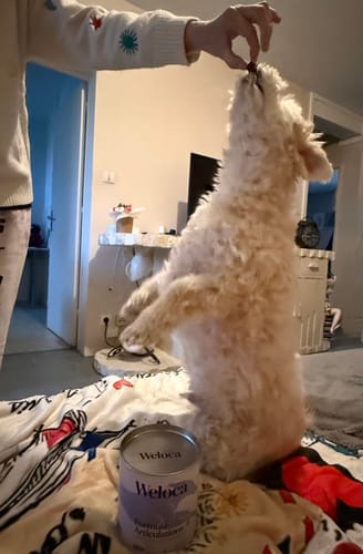 Customer photo review of Complément articulations