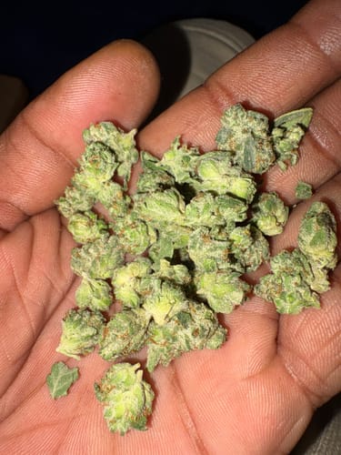 Customer photo review of 🎁 Zkittlez THCA Flower (100% off)