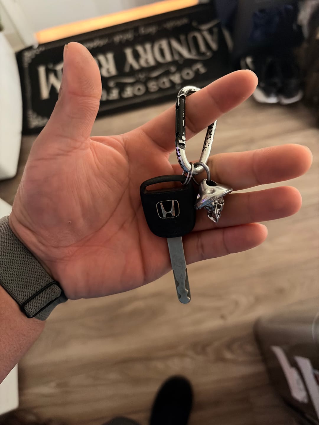 Customer photo review of OUROBOROS CARABINER