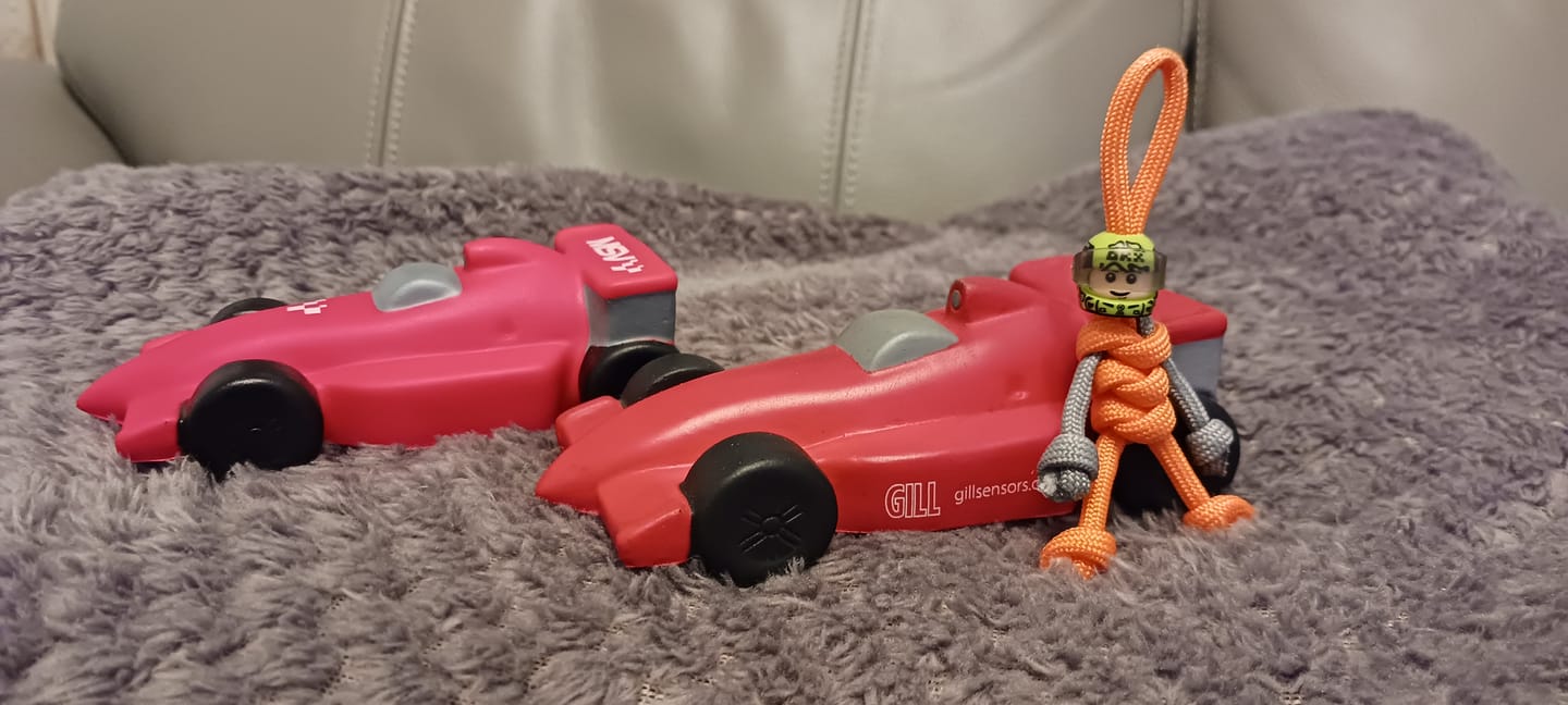 Customer photo review of Limited Edition 2025 Lando Norris Racing Paracord Buddy Keychain