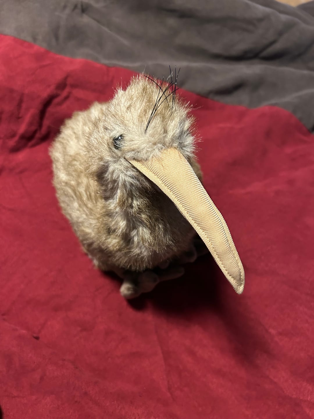 Customer photo review of Kiwi Bird Soft Stuffed Plush Toy