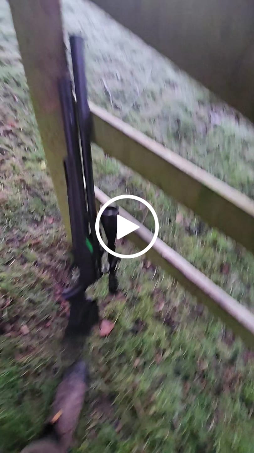 Customer video review of Remington T-Rex PCP Air Rifle Combo (Black)