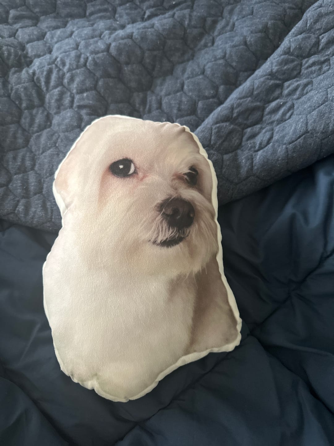 Customer photo review of Pet Pillow Looks Like Your Pet, Customize Dog Shaped Pillow with Pet Photo - ThePetPillow