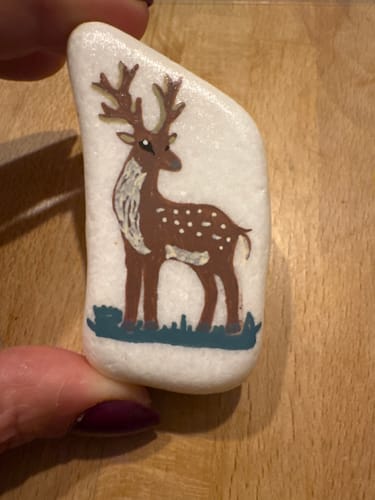 Customer photo review of Starterspakket Happy Stones + App om ze te volgen | Alles-in-1 | Stenen schilderen