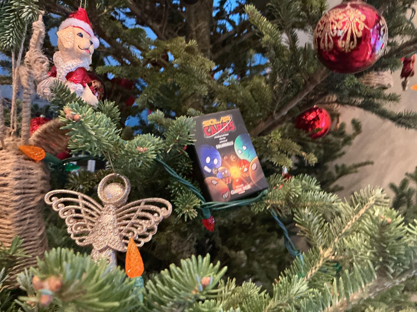 Customer photo review of SolarCards Classic Deck