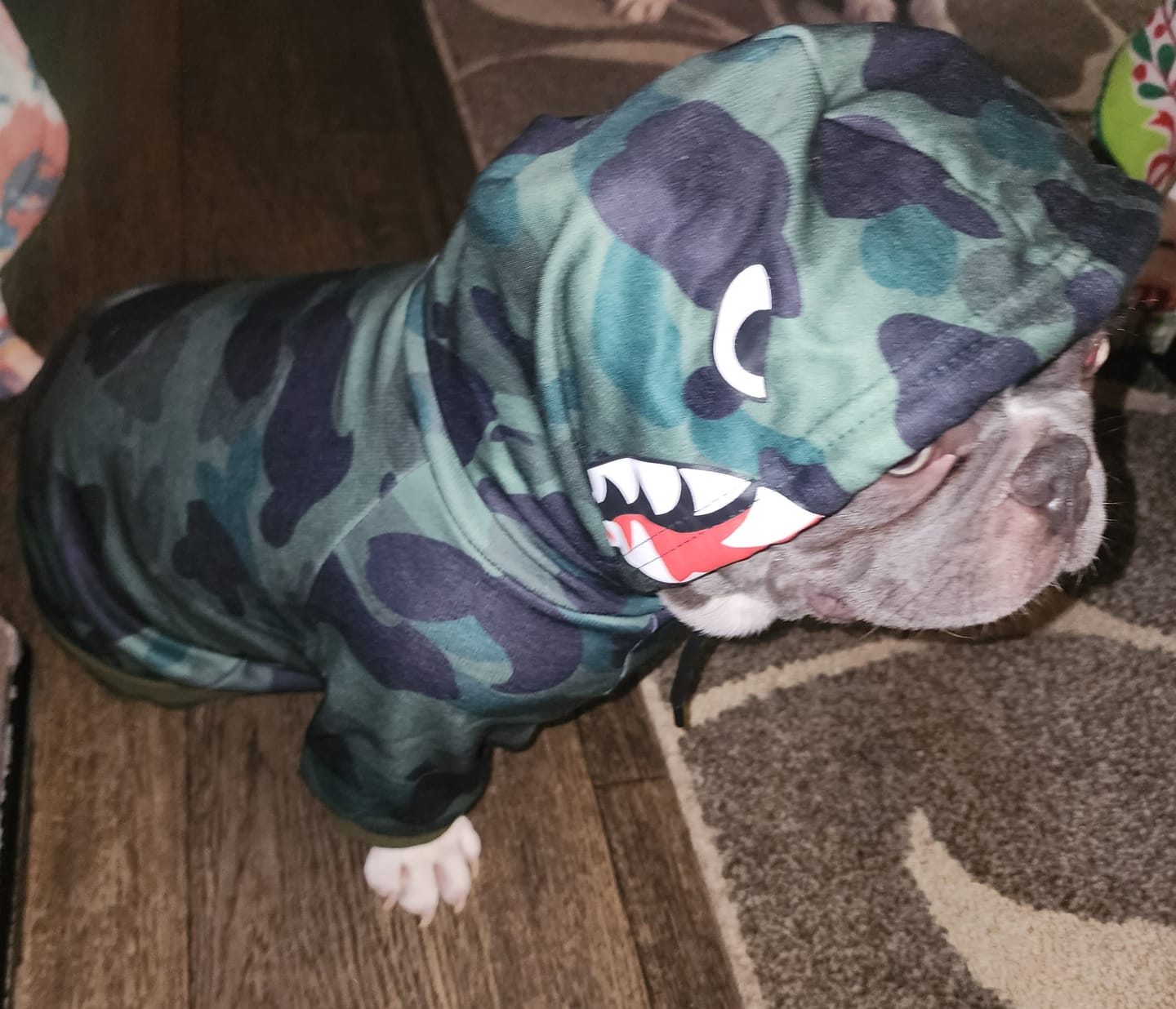 Customer photo review of Shark Monster Dog Hoodie - Green Camo