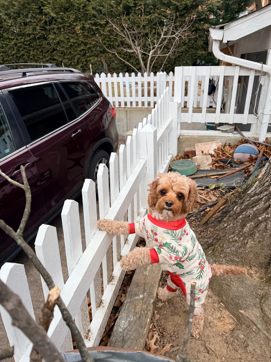 Customer photo review of Christmas Pajama Top - Mistletoe