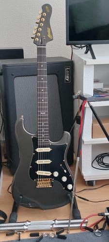 Customer photo review of 10th Anniversary Celestor