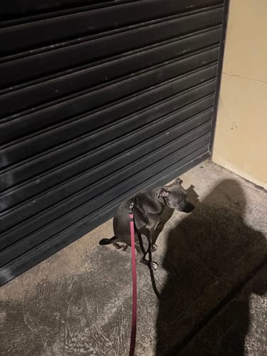 Customer photo review of Myo-Inositol