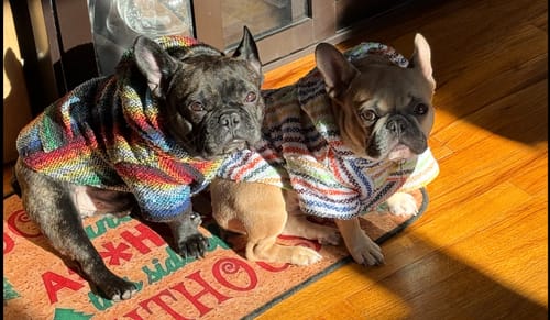 Customer photo review of Playa Poncho – Mystery Color (Bella, Charlie, or Fun Edition)