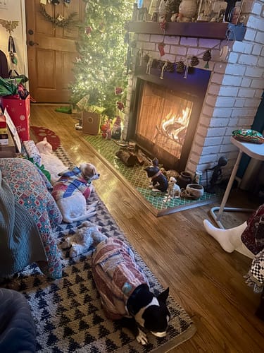 Customer photo review of Free & Easy Return or Exchange Coverage + Package Protection