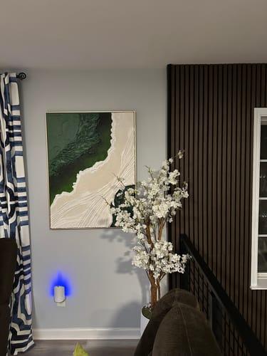 Customer review photo for Colorful Painting #CA061
