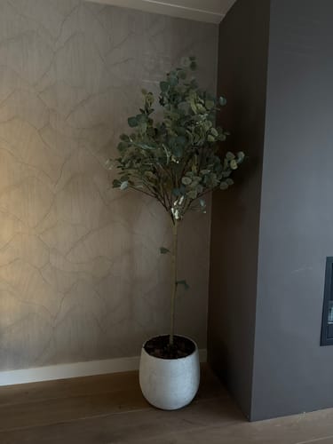Customer photo review of Eucalyptus Kunstboom 180cm