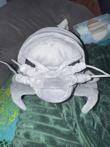 Customer photo review of Giant Isopod Plush Toy – Lifelike Deep-Sea Stuffed Animal