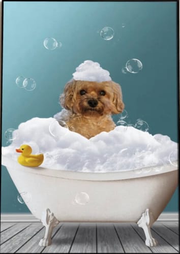 Customer photo review of Personalized Poster With Dog or Cat - Fun In The Tub