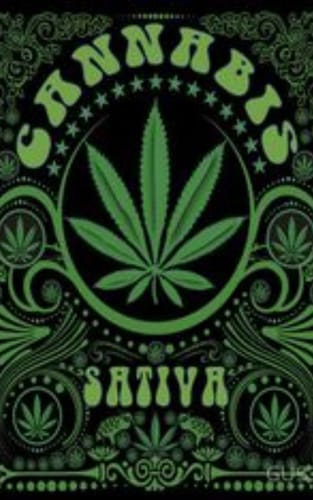 Customer photo review of Amnesia Haze Extra Strong 60% - CBD Blüten - Indoor - Unsere stärkste CBD Sorte