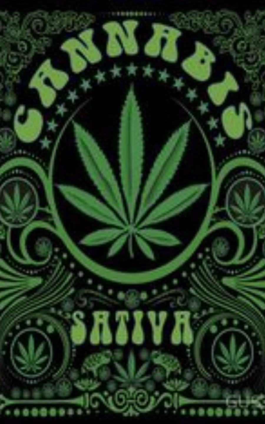 Customer photo review of Amnesia Haze Extra Strong 60% - CBD Blüten - Indoor - Unsere stärkste CBD Sorte