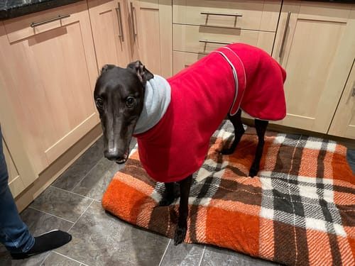 Customer photo review of Sighthound Polo Double Fleece Coat