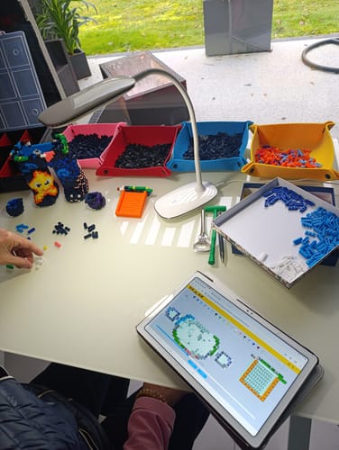 Customer photo review of Boîtes de tri des pièces 25x25 cm