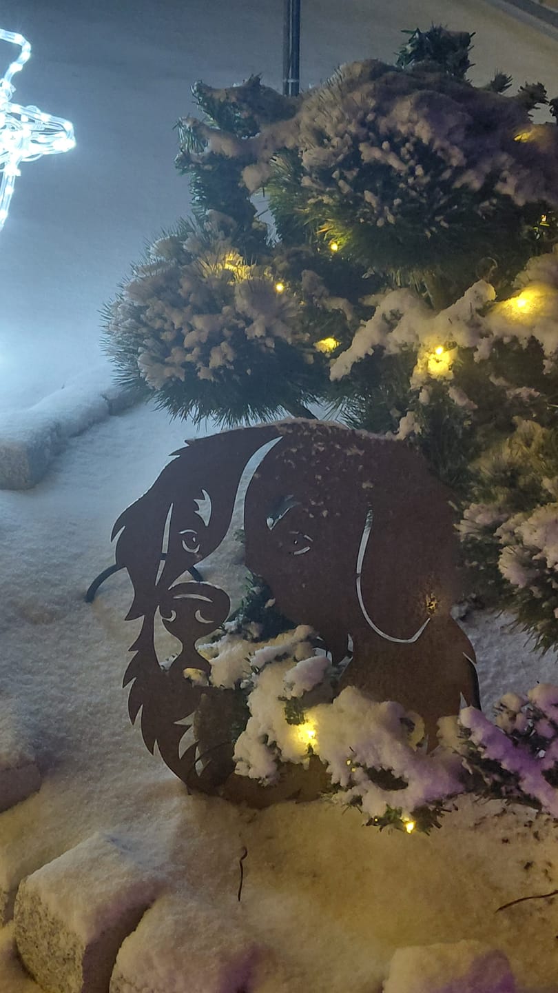Customer photo review of Gartenstecker Berner Sennenhund Portrait
