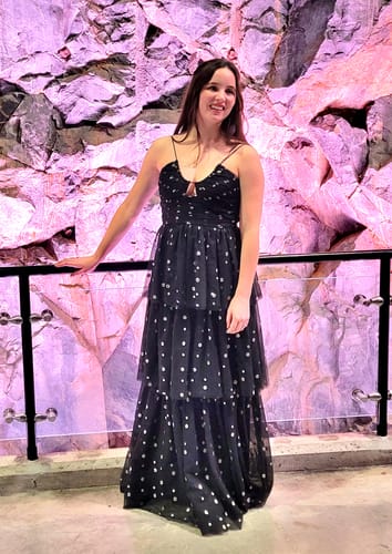 Customer photo review of Skyfall Tiered Gown by ML Monique Lhuillier - RENTAL