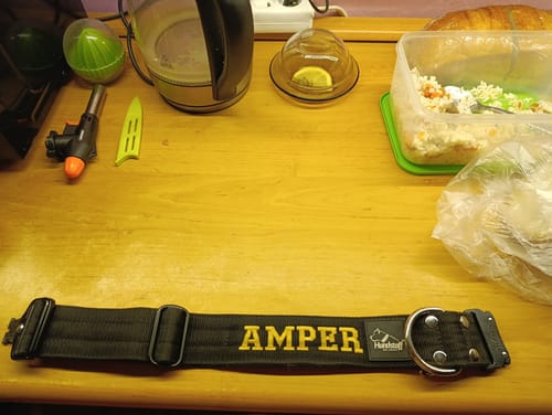 Customer photo review of Obroża dla psa z imieniem - Personal Extreme