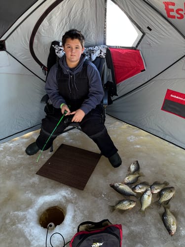 Customer photo review of Pre-Built Power Noodle