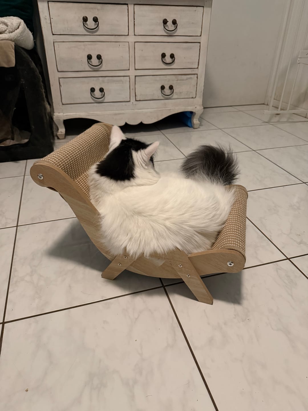 Customer photo review of Sisal Lounge Chair for Cats – Scratcher & Sofa in One