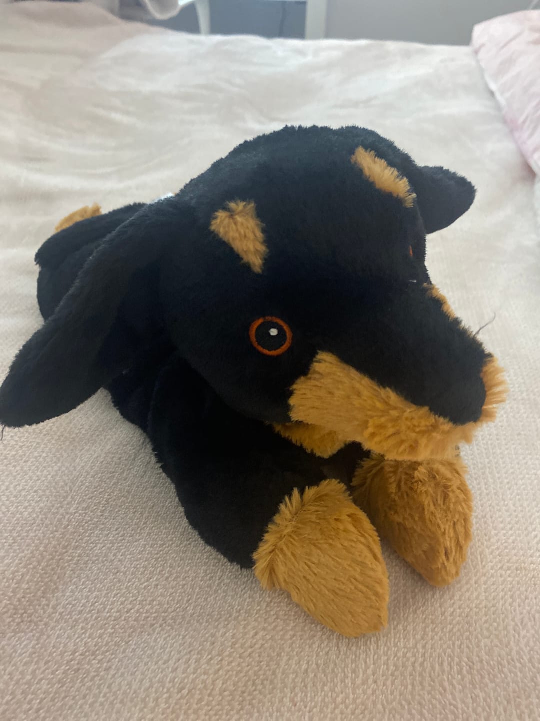 Customer photo review of Dachshund ~ Warmies/Coolies  Lavender Scented