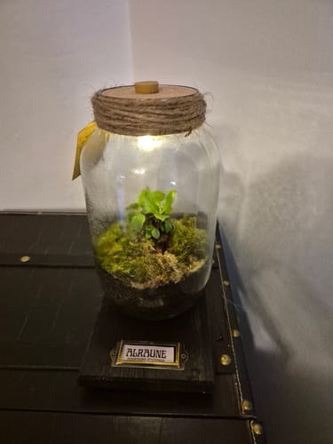 Kundenbild des beleuchteten Flaschengartens 'Magische Alraune' auf einem Ständer mit einem 'Alraune'-Schild.