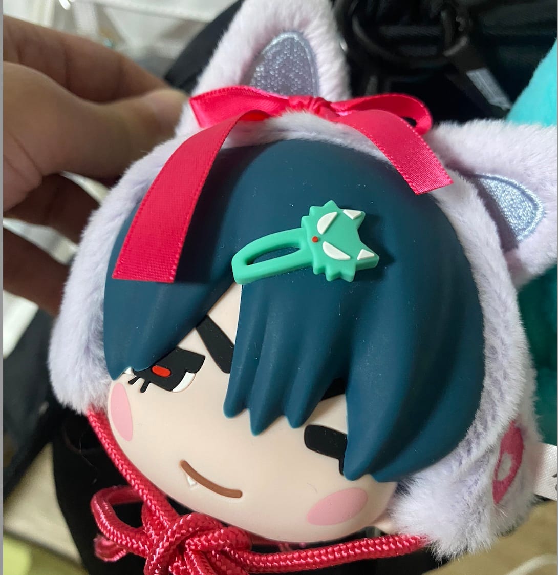 Customer photo review of Alien Stage Freedom Stage Series Earphone Pouch