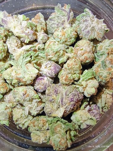 Customer photo review of Lemon Cherry Gelato Runtz - 28 Grams Littles - Indica