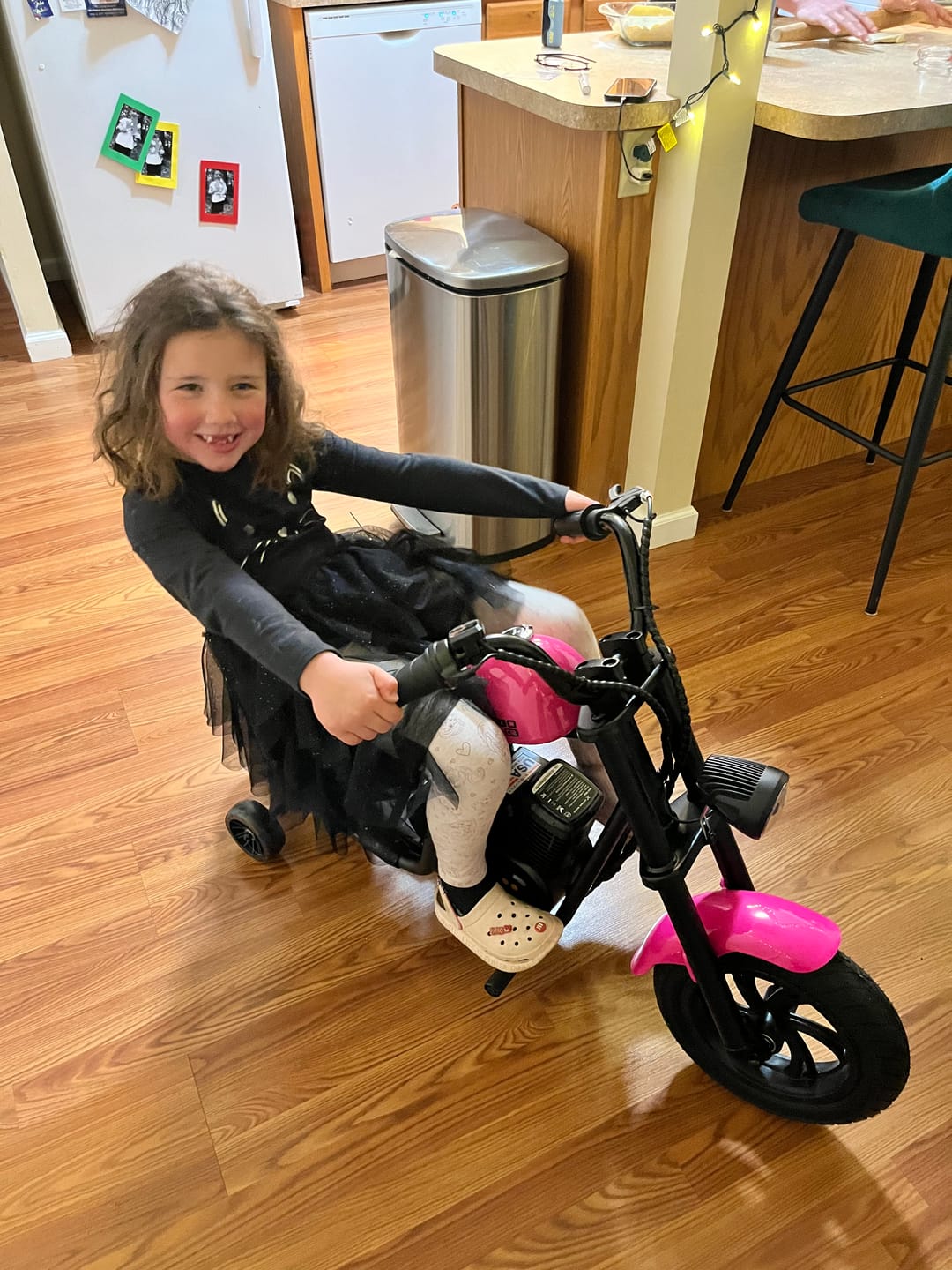 Customer photo review of Cruiser 12 Plus