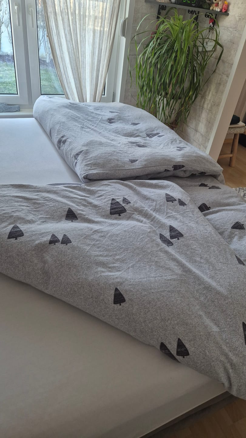 Customer photo review of Sleepwell Comfort Daunendecke